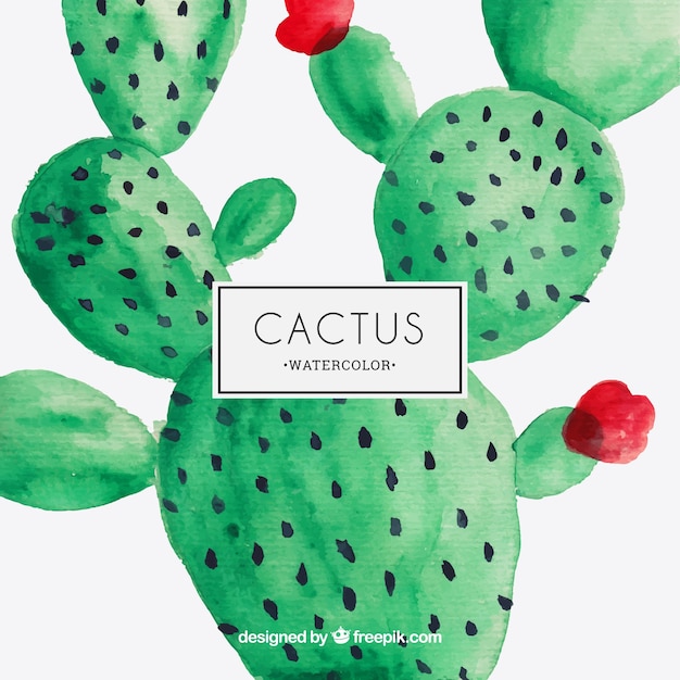 Watercolor cactus Vector | Premium Download