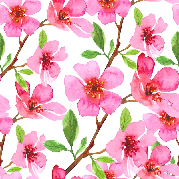 Watercolor cherry blossom flower seamless pattern. sakura beautiful spring floral template. colorful
