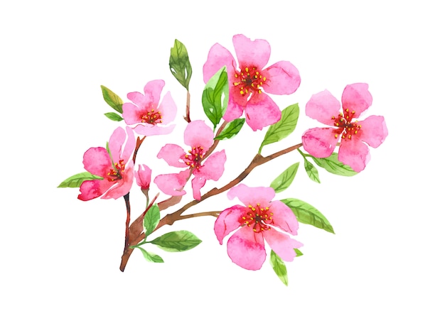 水彩桜の花の花輪 桜の美しい春の花の手描きアート 白い背景で隔離のカラフルなイラスト プレミアムベクター