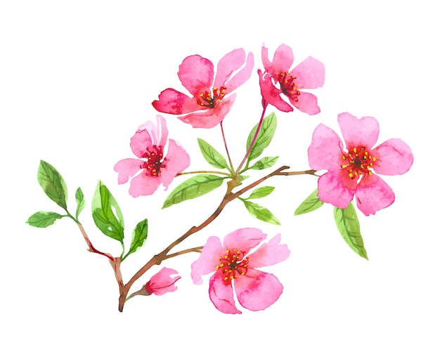 水彩桜の花の花輪 桜の美しい春の花の手描きアート 白い背景で隔離のカラフルなイラスト プレミアムベクター