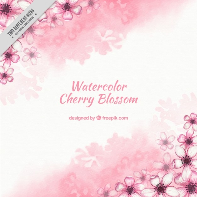 Watercolor Cherry Flowers Background