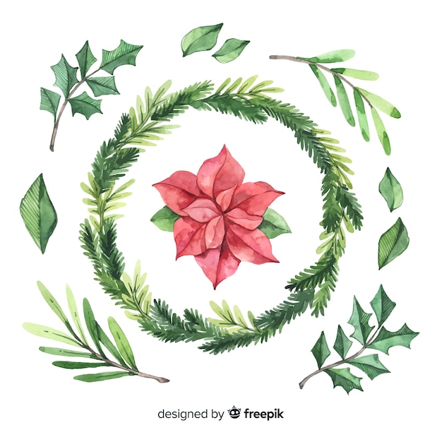 Download Watercolor christmas flower & wreath collection Vector ...