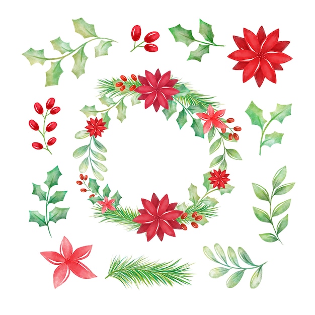 Download Watercolor christmas flower & wreath collection Vector ...