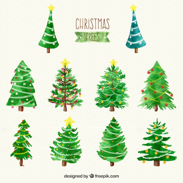 Download Watercolor christmas trees collection | Free Vector