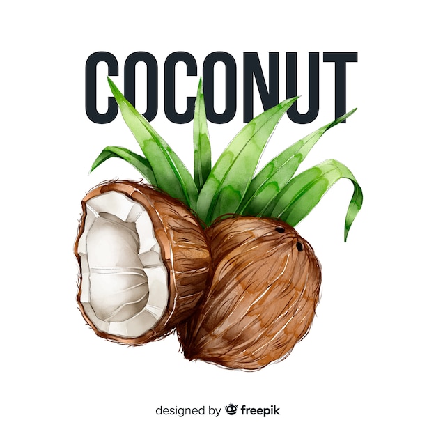 Free Vector Watercolor Coconut