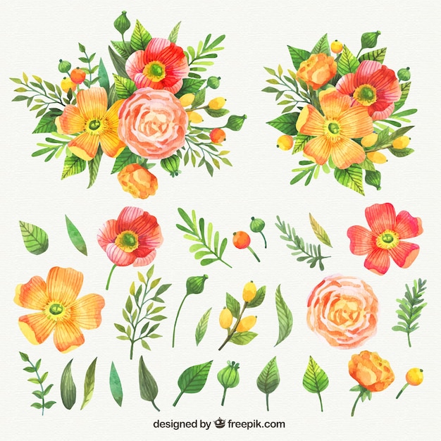 Download Watercolor collection of nice flowers Vector | Free Download