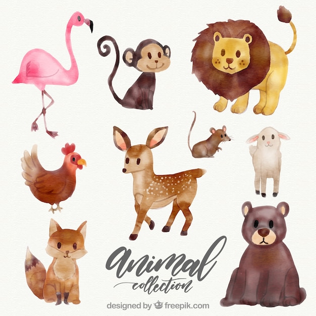 Premium Vector Watercolor Collection Of Wild Animals