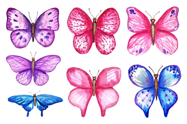 水彩のカラフルな蝶 白い背景で隔離 青 ピンク 紫の蝶春イラスト プレミアムベクター