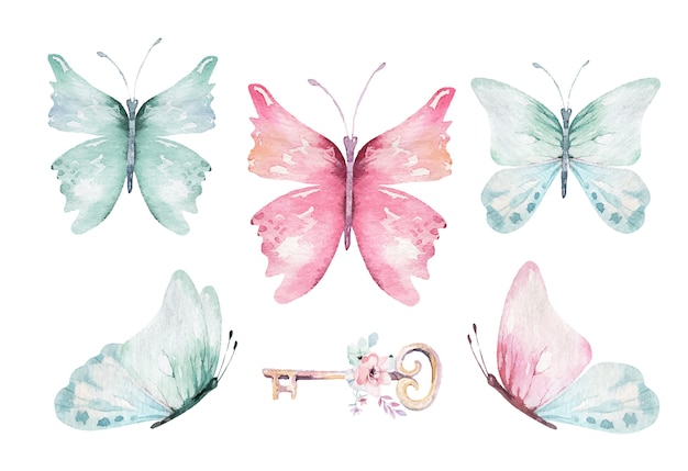 Premium Vector | Butterflies Isolated On White Background Colored