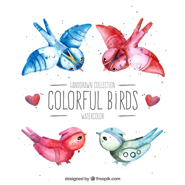 Watercolor colourful birds