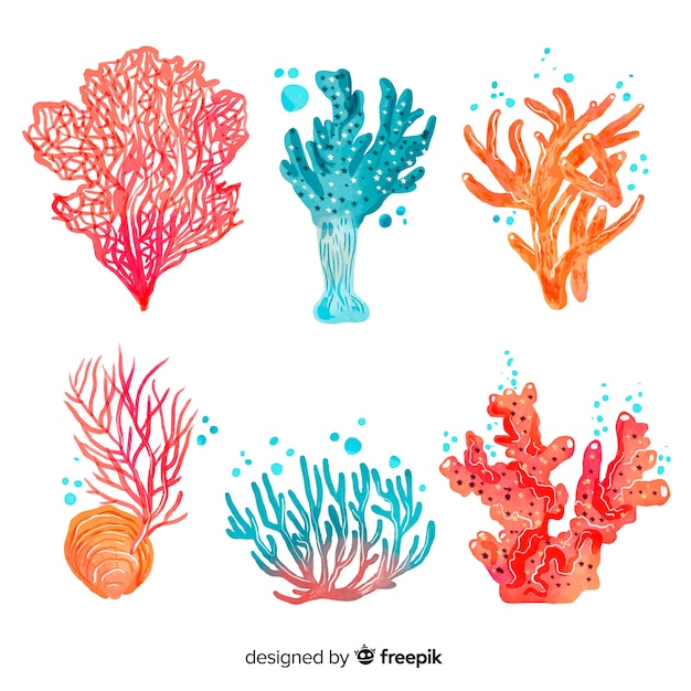 Free Vector | Watercolor coral collection