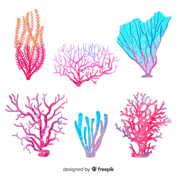 無料のベクター 水彩サンゴコレクション