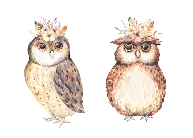 Watercolor Cute Boho Owls Premium Vector