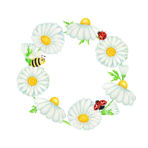ハエてんとう虫 蜂フレームのイラストが水彩のデイジーカモミールの花 手描きコピースペースで分離された植物ハーブ カモミールの白い花 つぼみ 緑の葉 茎 草のバナー プレミアムベクター