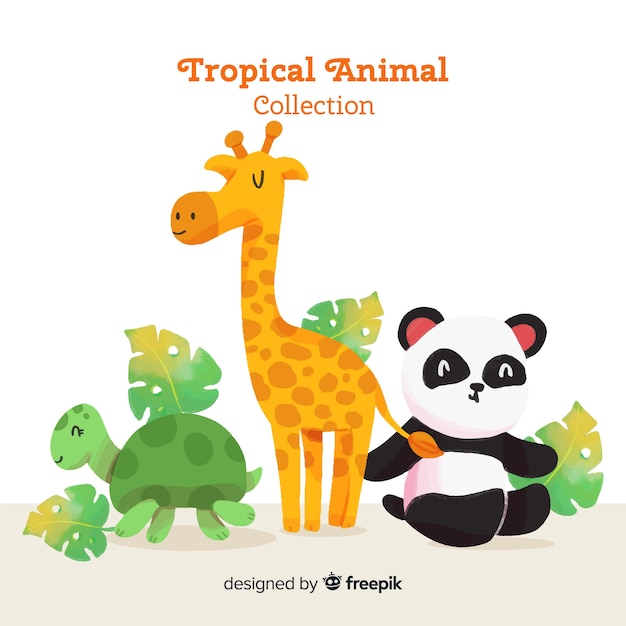 Download Watercolor exotic tropical animal collection Vector | Free Download