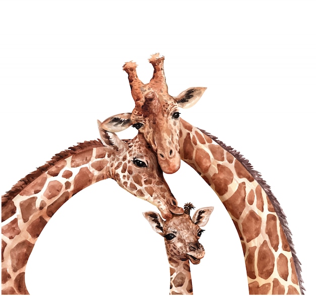 Download Watercolor family giraffe. giraffe kiss baby. giraffe paint. | Premium Vector