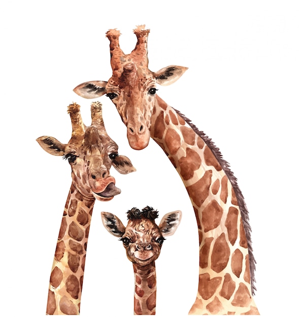 Watercolor family giraffe. south affrica animal. giraffe paint. | Premium Vector