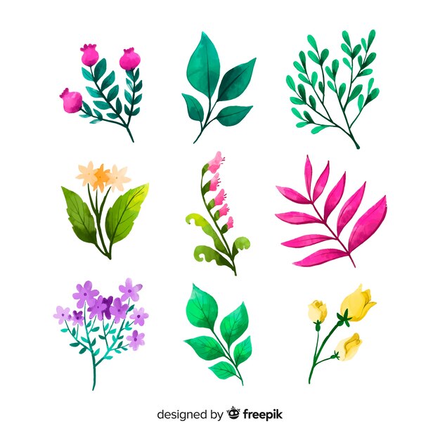 Watercolor floral branch collection Vector | Free Download