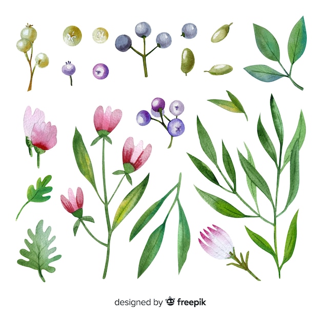 Free Vector | Watercolor floral branch collection