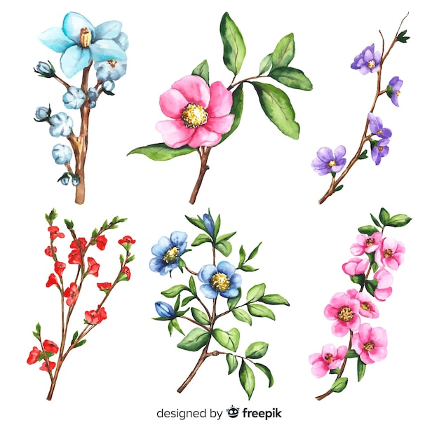 Watercolor floral branch collection Vector | Free Download