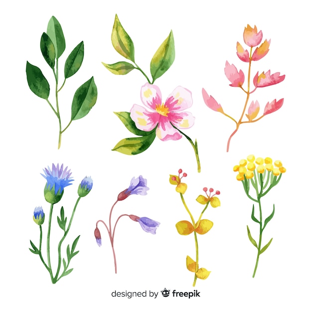 Watercolor floral branch collection Vector | Free Download