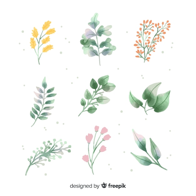 Free Vector | Watercolor floral branch pack