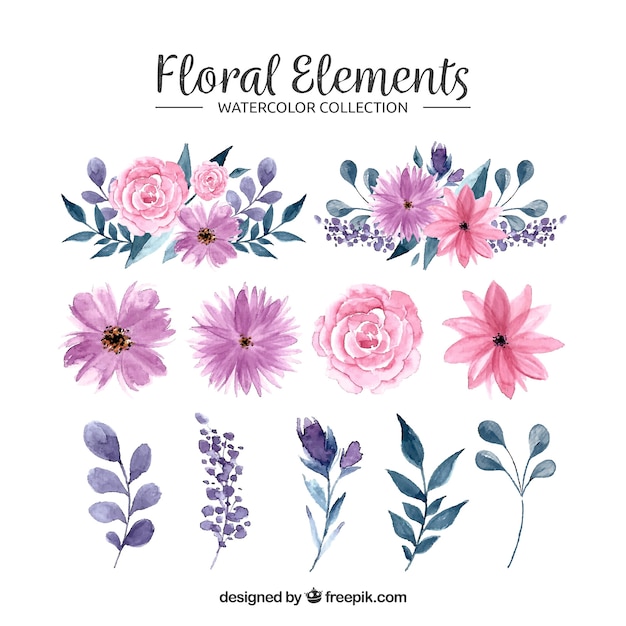 Flower Vectors Photos And Psd Files Free Download