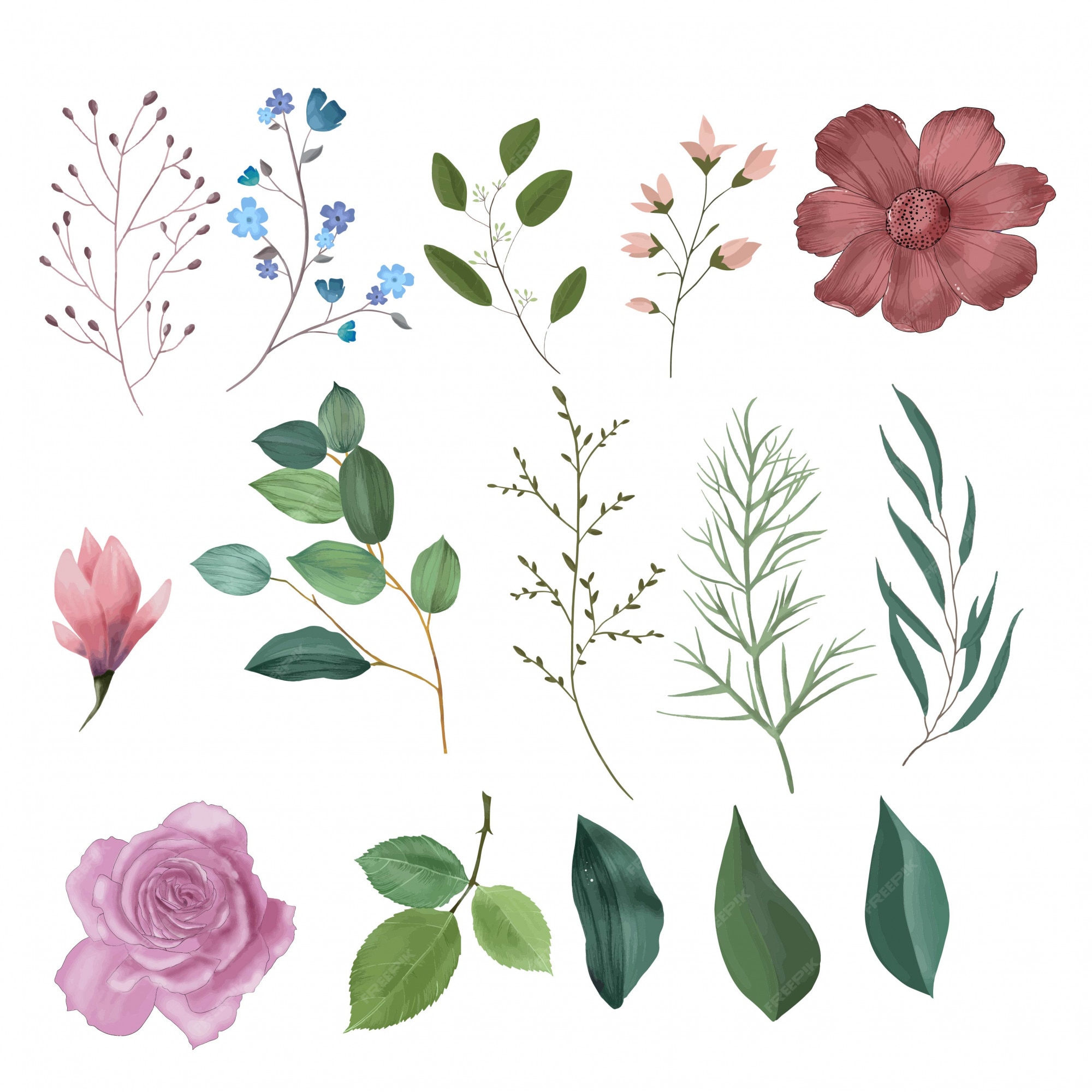 Premium Vector Watercolor Floral Elements Collection