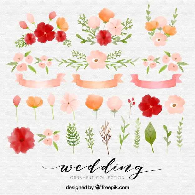 Download Free Vector | Watercolor floral elements