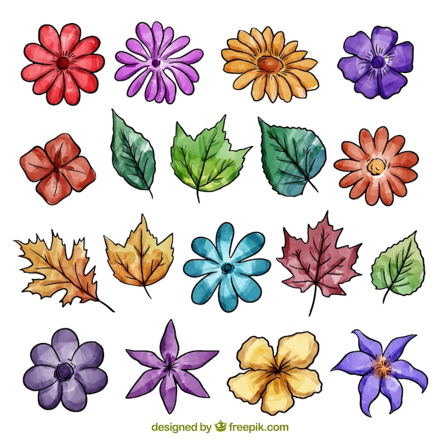 Free Free 303 Watercolor Flower Svg Free SVG PNG EPS DXF File