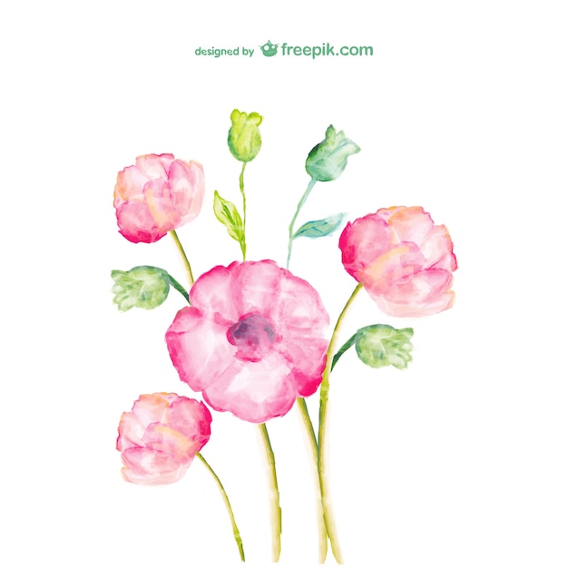 Watercolor flowers free vector design Vector  Free Download