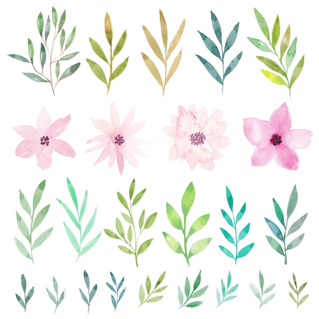 Premium Vector Watercolor Flowers And Leaves Collection