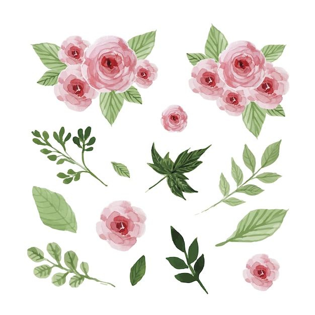 Watercolor flowers and leaves set Vector | Free Download