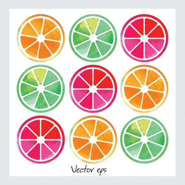 Free Vector | Watercolor fruit slices