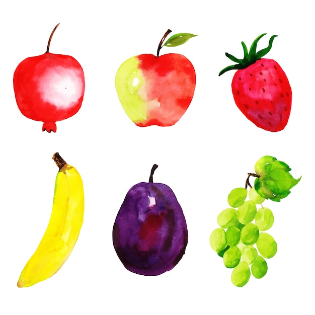 Watercolor Fruits Collection