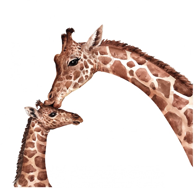 Download Watercolor giraffe kiss baby. south affrica animal. giraffe paint. | Premium Vector