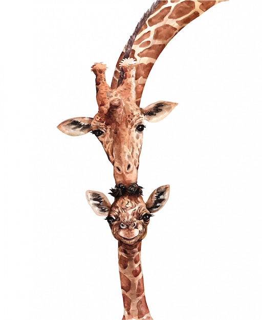 Download Premium Vector | Watercolor giraffe kiss baby. south ...