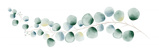 Watercolor Eucalyptus Leaves Clip Art