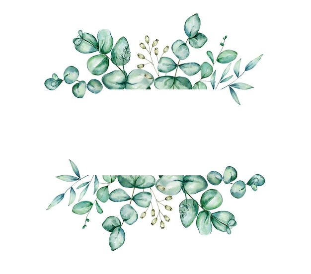 Premium Vector | Watercolor green floral banner with eucalyptus leaves ...