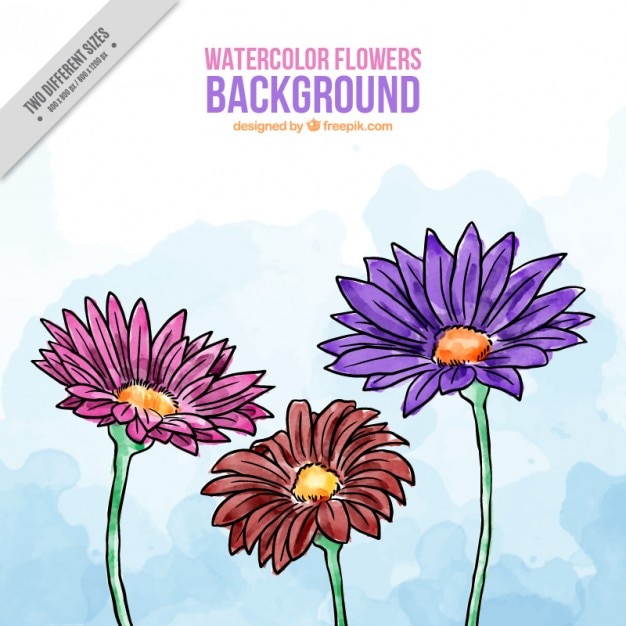 Watercolor hand drawn flowers background
