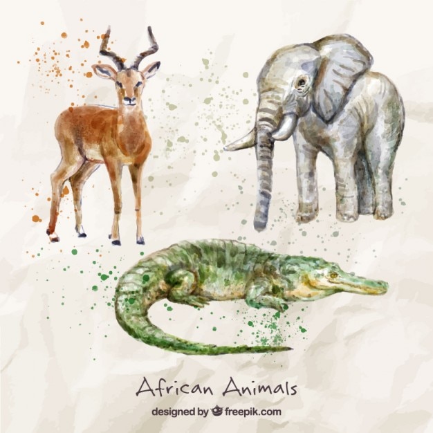 Free Vector | Watercolor hand painted african animals