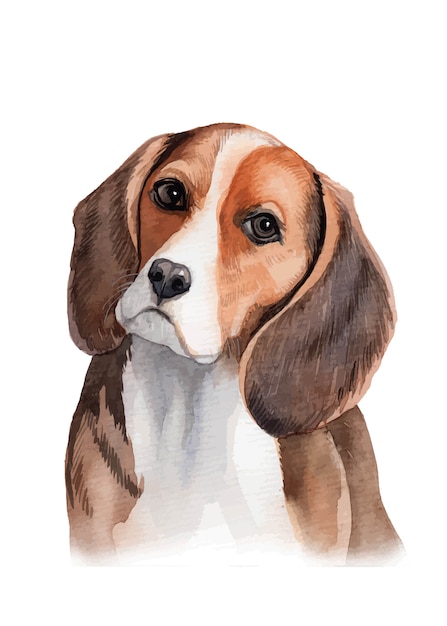 水彩の手描きのビーグル犬の肖像画イラスト プレミアムベクター