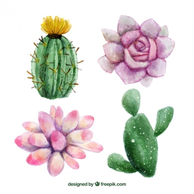 Download Watercolor hand painted flowers and cactus | Free Vector