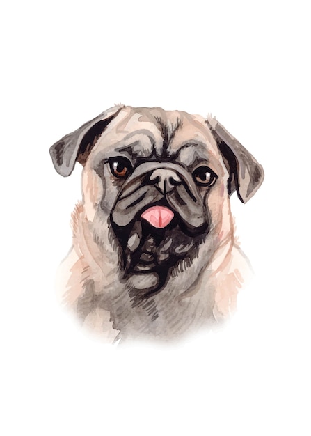 水彩の手描きのパグ犬イラスト プレミアムベクター