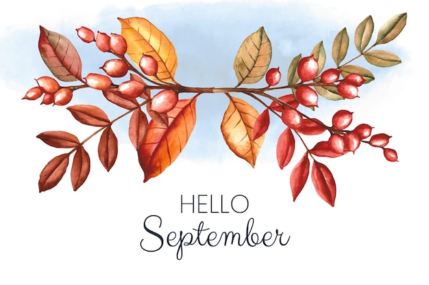 Free Vector | Watercolor hello september background