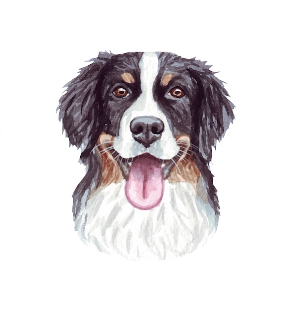 面白い犬の水彩イラスト 人気の犬種 バーニーズマウンテンドッグ 白で隔離される手作りの文字 プレミアムベクター