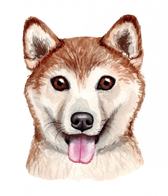面白い犬の水彩イラスト 人気の犬種 犬 柴犬 白で隔離される手作りの文字 プレミアムベクター