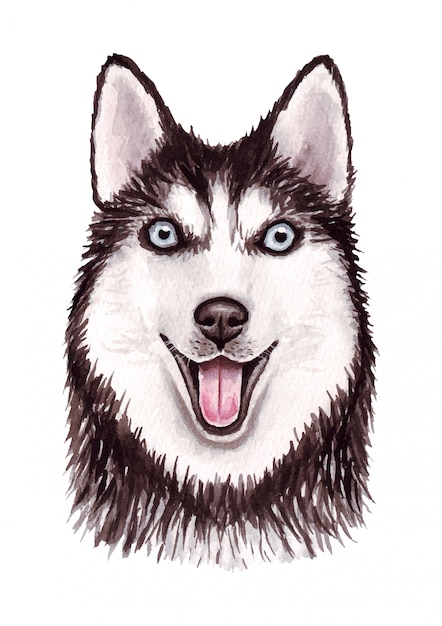 プレミアムベクター 面白い犬の水彩イラスト 人気の犬種 犬 シベリアンハスキー 白で隔離される手作りの文字