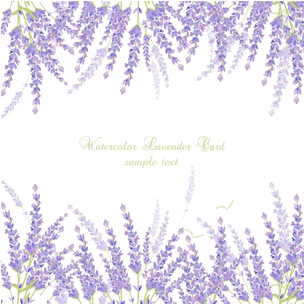 Download Watercolor lavender card Vector | Free Download