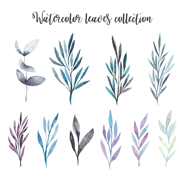 Download Watercolor leaves set Vector | Premium Download